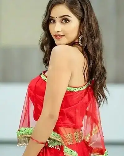 Call Girls Service Sriperumbudur